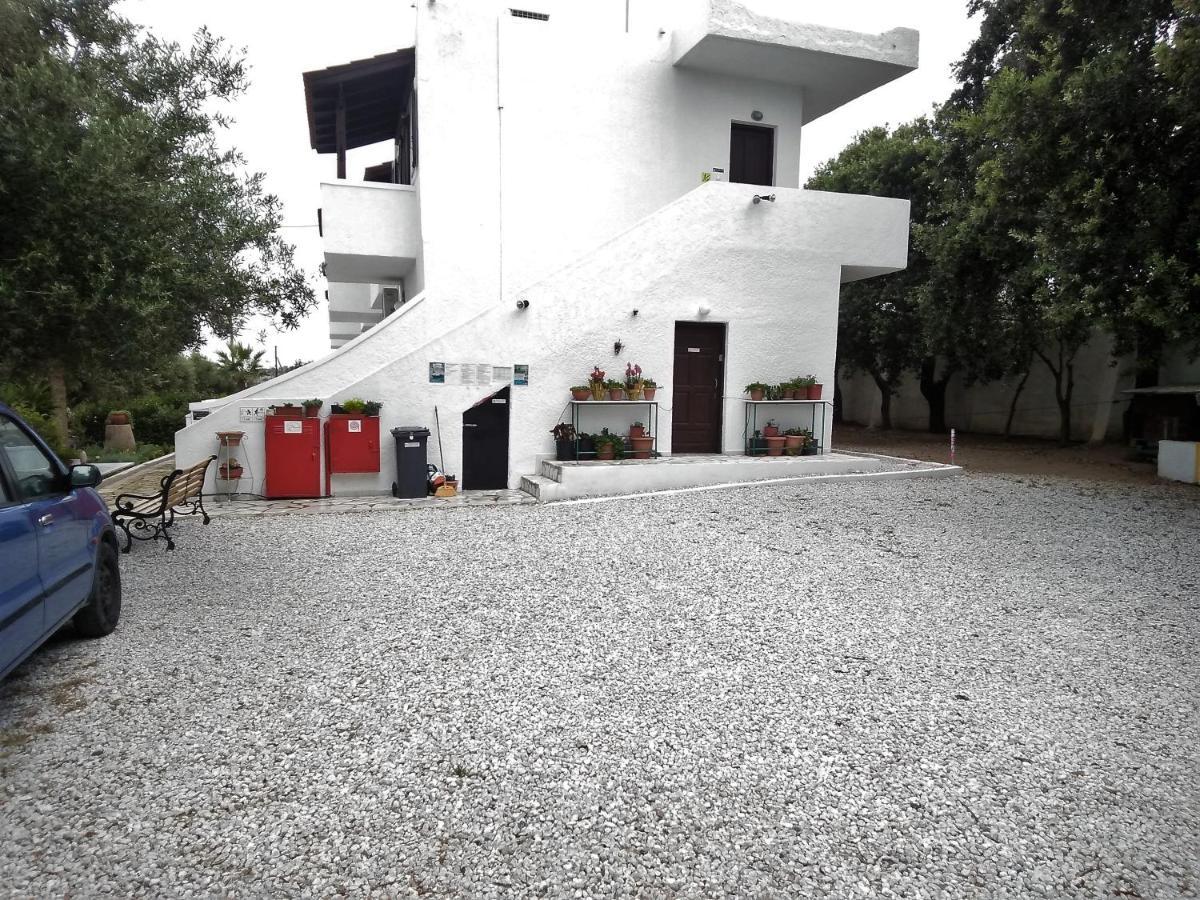 New Aurora Apts Studios فيرما المظهر الخارجي الصورة