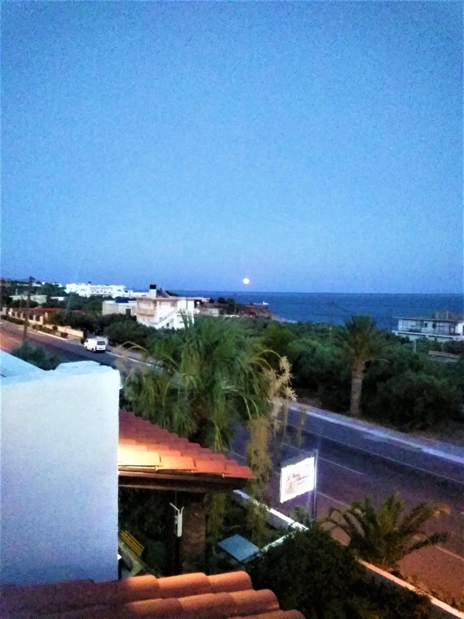 New Aurora Apts Studios فيرما المظهر الخارجي الصورة